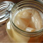kombucha scoby in glass jar